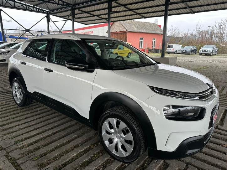 C4 Cactus