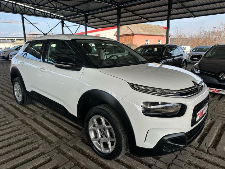 C4 Cactus