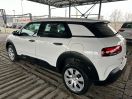 C4 Cactus