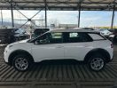 C4 Cactus