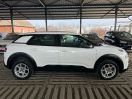 C4 Cactus