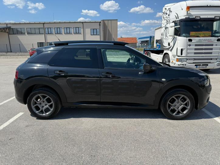 C4 CACTUS