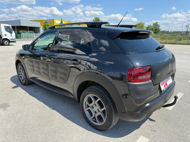 C4 CACTUS