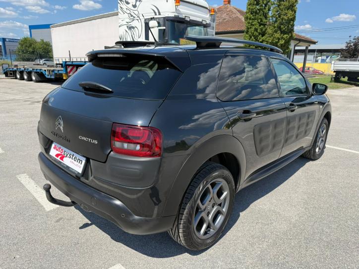 C4 CACTUS