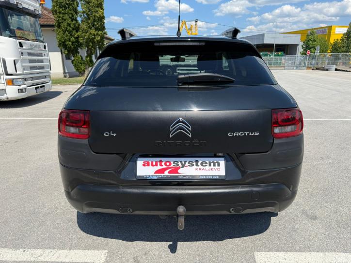 C4 CACTUS