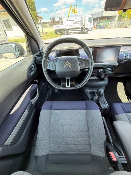 C4 CACTUS