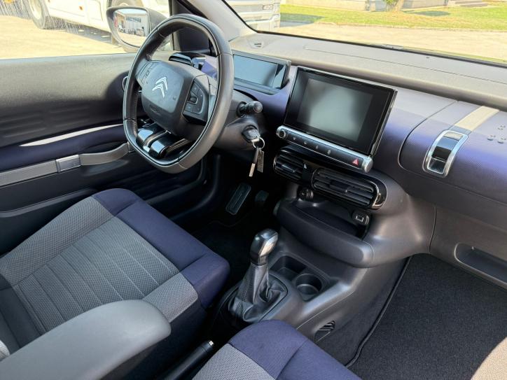 C4 CACTUS