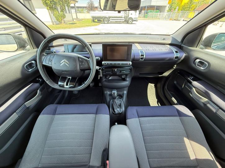 C4 CACTUS