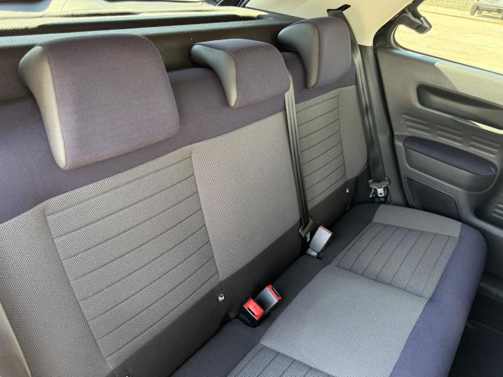 C4 CACTUS