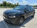 C4 CACTUS