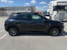 C4 CACTUS