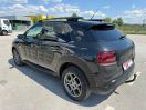 C4 CACTUS