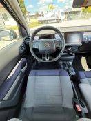 C4 CACTUS